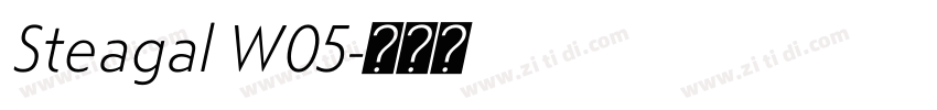 Steagal W05字体转换
